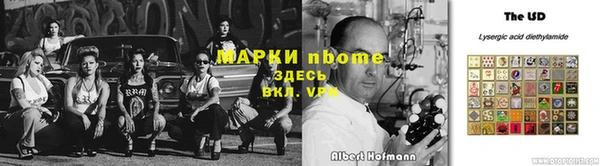 шишки Дмитровск