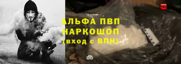 шишки Дмитровск