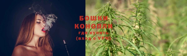 шишки Дмитровск