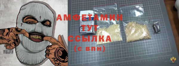 шишки Дмитровск
