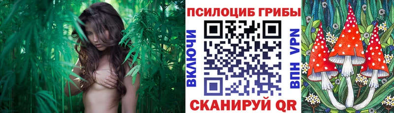Галлюциногенные грибы ЛСД  Дятьково 